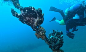 ダイブテリーズ