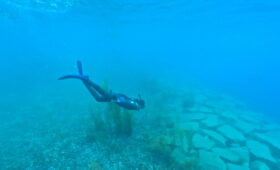 ダイブテリーズ