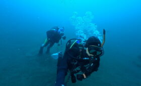 ダイブテリーズ