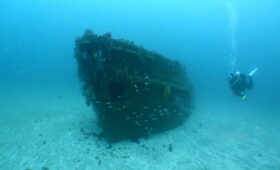 ダイブテリーズ