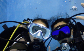 ダイブテリーズ