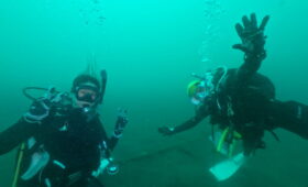 ダイブテリーズ