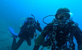 ダイブテリーズ