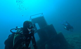 ダイブテリーズ