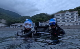 ダイブテリーズ