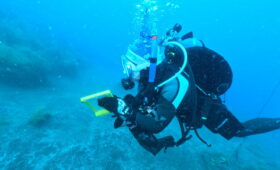 ダイブテリーズ