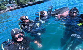 ダイブテリーズ