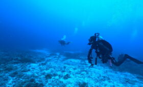 ダイブテリーズ