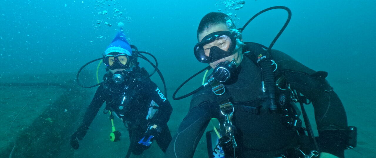 ダイブテリーズ