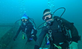 ダイブテリーズ