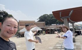 ダイブテリーズ