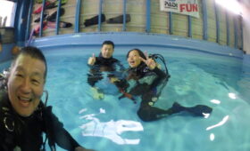 ダイブテリーズ