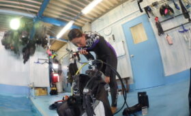 ダイブテリーズ