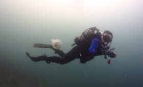 ダイブテリーズ