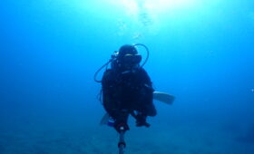 ダイブテリーズ