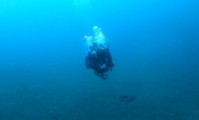 ダイブテリーズ