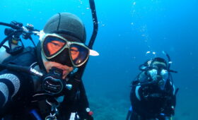 ダイブテリーズ