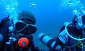 ダイブテリーズ