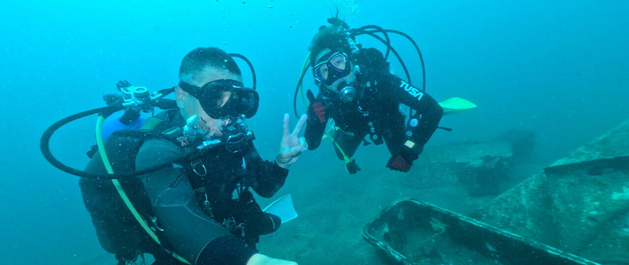 ダイブテリーズ