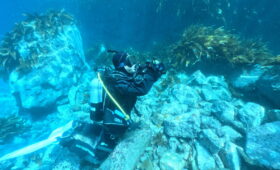 ダイブテリーズ