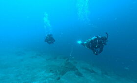 ダイブテリーズ