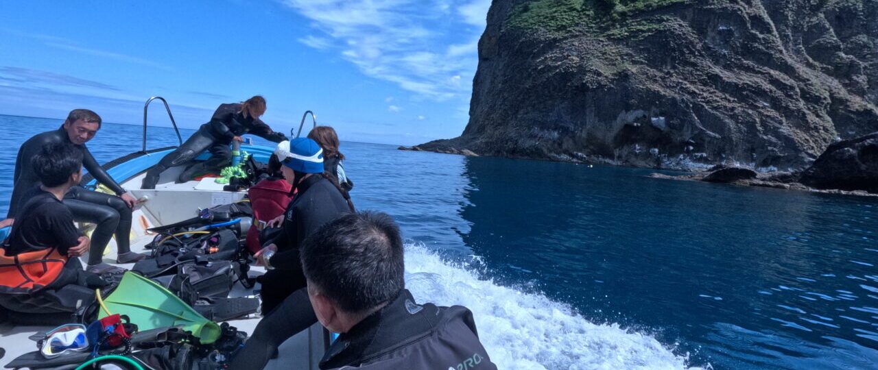 ダイブテリーズ