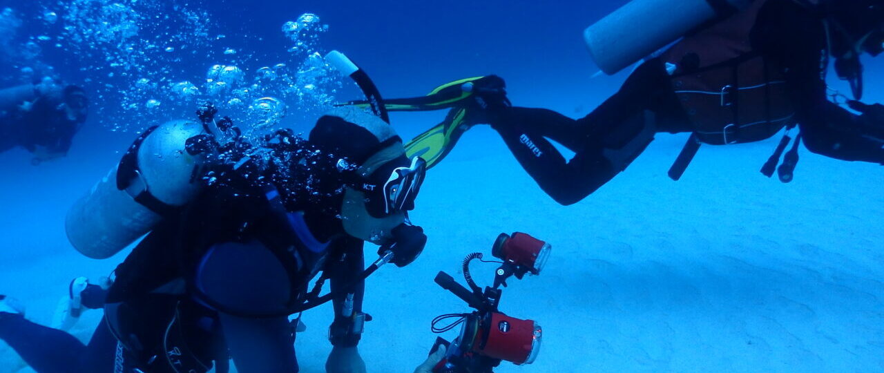 ダイブテリーズ