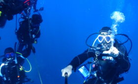 ダイブテリーズ