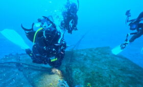 ダイブテリーズ