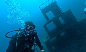 ダイブテリーズ