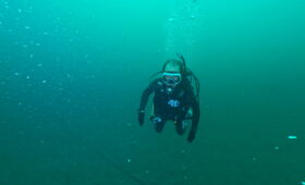 ダイブテリーズ