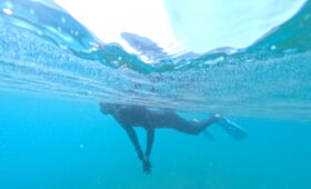 ダイブテリーズ