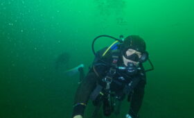 ダイブテリーズ