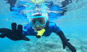 ダイブテリーズ