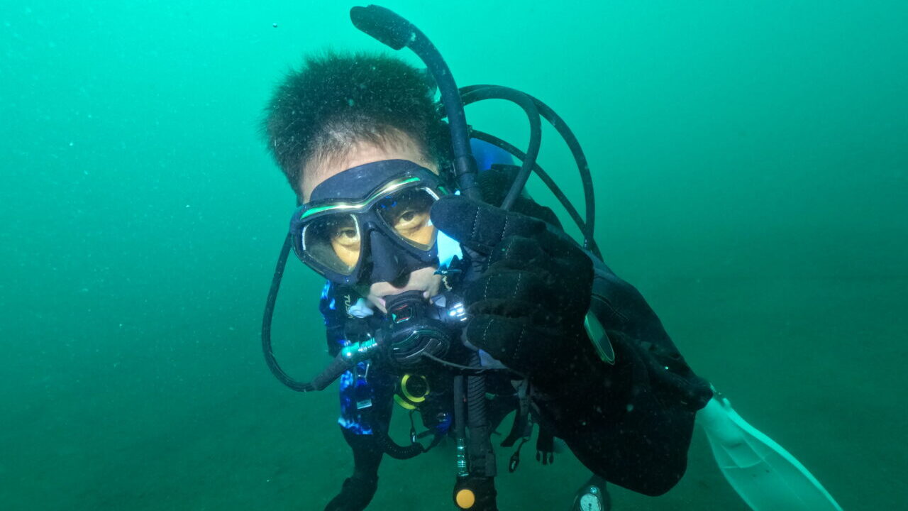 ダイブテリーズ