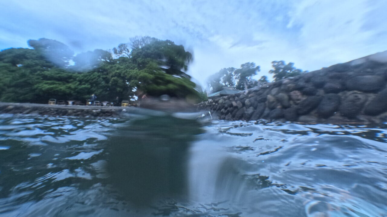 ダイブテリーズ