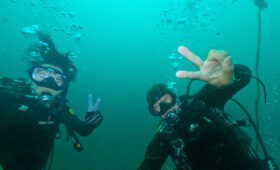 ダイブテリーズ