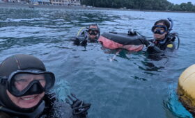 ダイブテリーズ