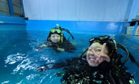 ダイブテリーズ