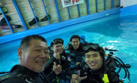 ダイブテリーズ