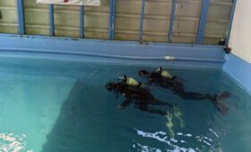 ダイブテリーズ