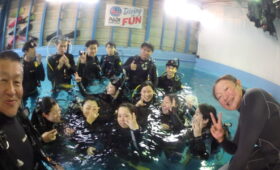 ダイブテリーズ