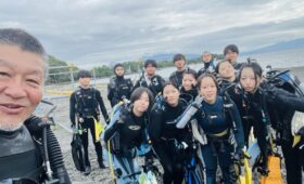 ダイブテリーズ