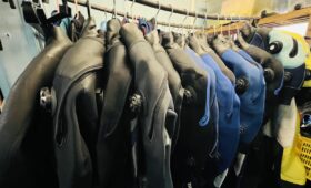 ダイブテリーズ