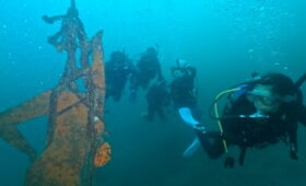 ダイブテリーズ