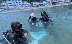 ダイブテリーズ