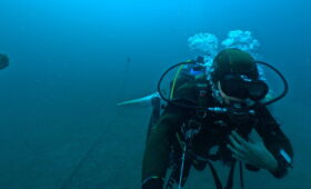 ダイブテリーズ