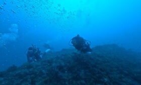 ダイブテリーズ