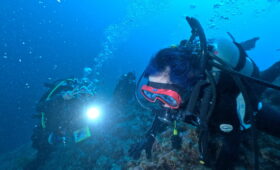 ダイブテリーズ