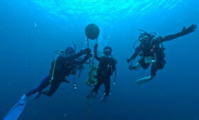 ダイブテリーズ